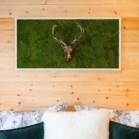 Willa Haus Am Wald Bad Schandau Zewnętrze zdjęcie