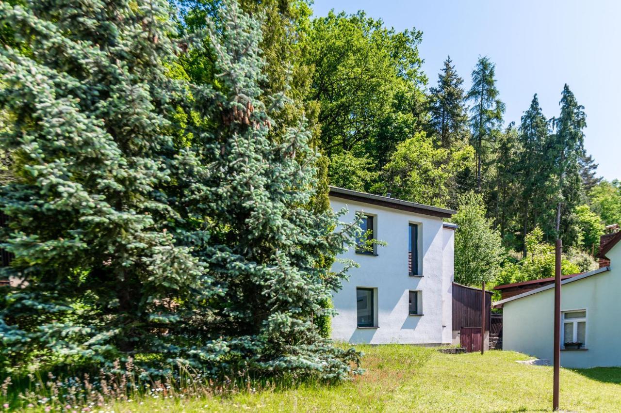 Willa Haus Am Wald Bad Schandau Zewnętrze zdjęcie