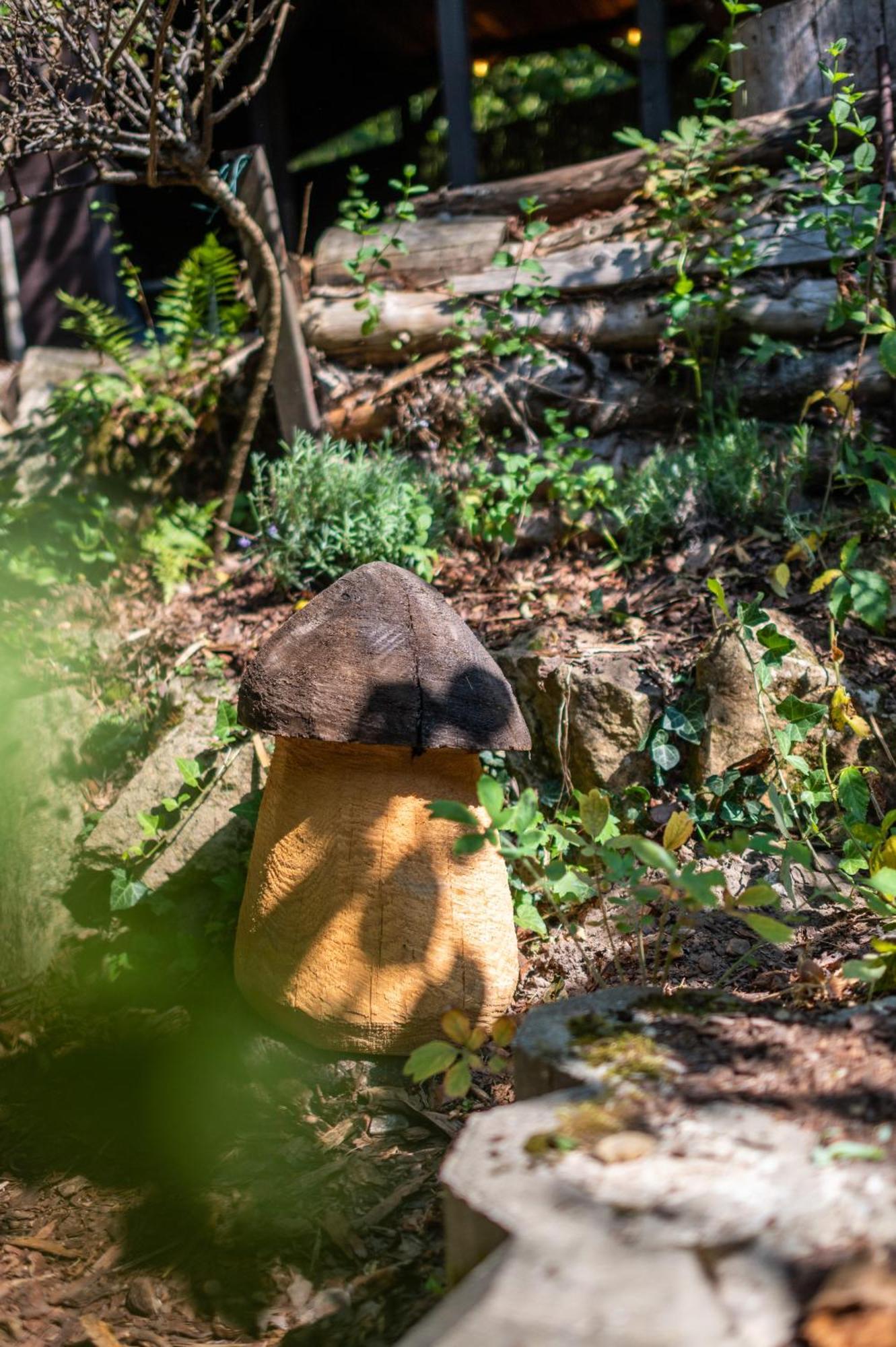Willa Haus Am Wald Bad Schandau Zewnętrze zdjęcie